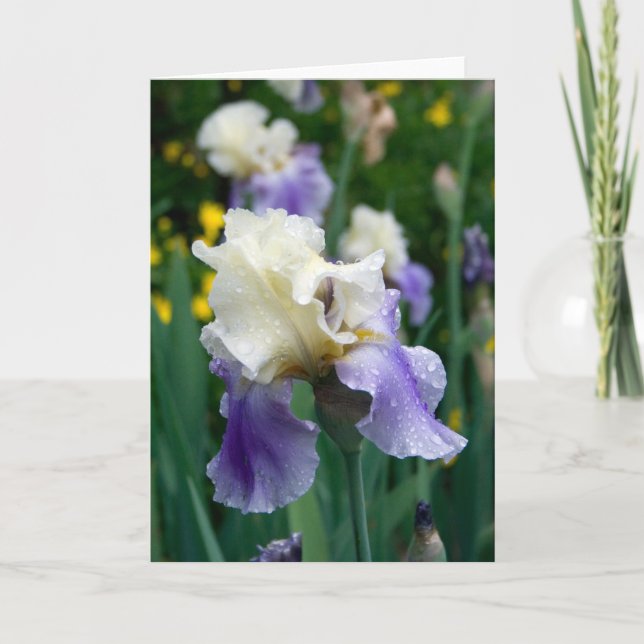 Cartão Flower #2090 (Frente)