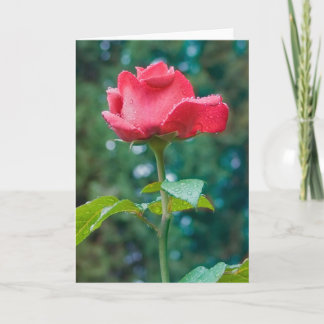 Cartão Flower #2092