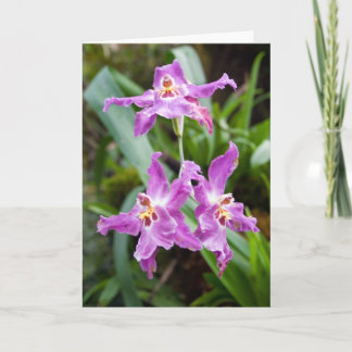 Cartão Flower #2770