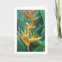 Flower (Bird of Paradise) Blank Card
