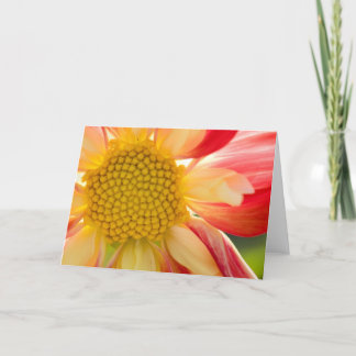 Cartão Flower Fire greeting card