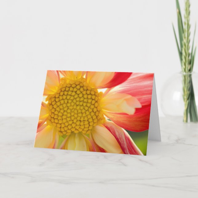 Cartão Flower Fire greeting card (Frente)