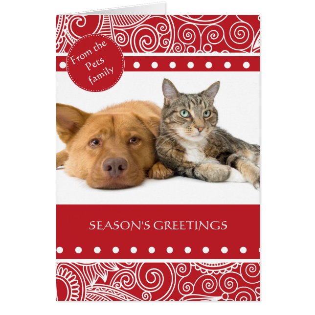 Cartão Flower Jungle season's Greetings (Frente)