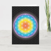 FLOWER OF LIFE - LUMINENCE