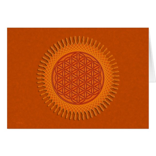 Cartão Flower Of Live / sun design (Frente Horizontal)