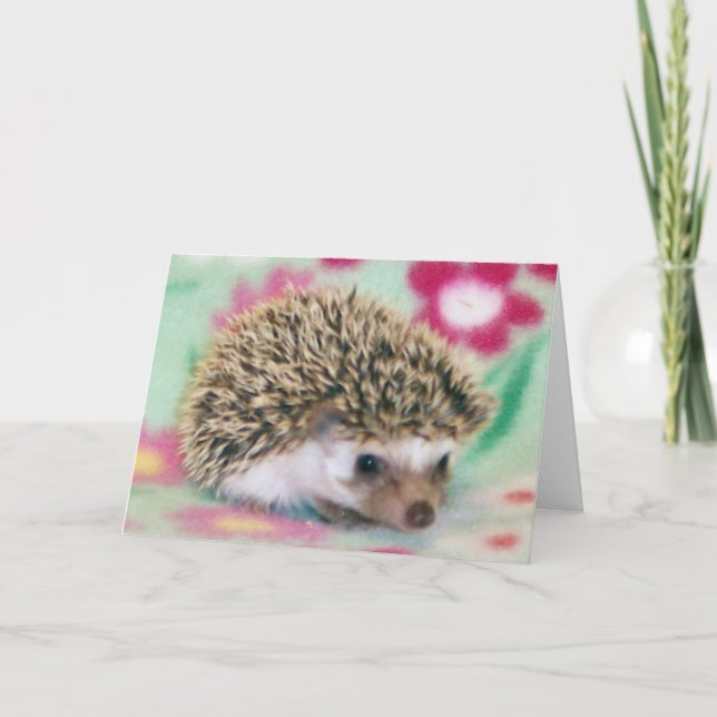 Cartão Flower Power Hedgehog Cards (Frente)