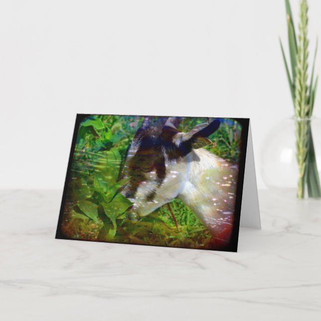 Cartão Flowers are Food Too (Frente)