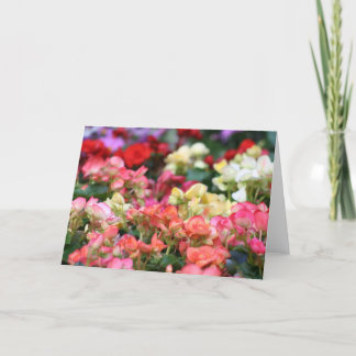 Cartão Flowers Bloom in Ginza