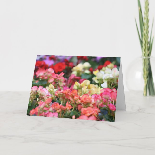 Cartão Flowers Bloom in Ginza (Frente)