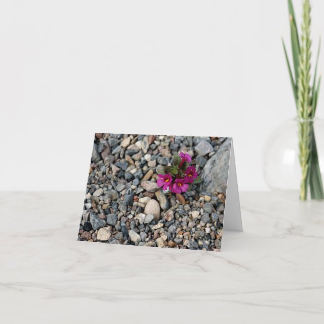 Cartão Flowers from the Rocks ~ Death Valley Note Card (Frente)