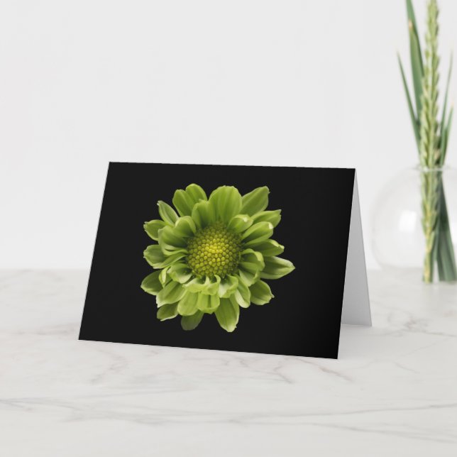 Cartão Flowers | Green Chrysanthemum (Frente)