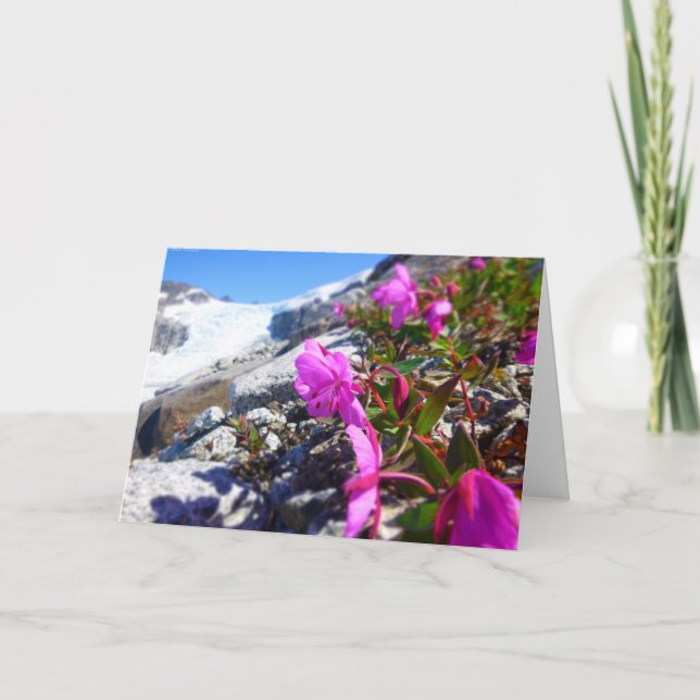 Cartão Flowers in the Gilkey Trench (Blank inside) (Frente)