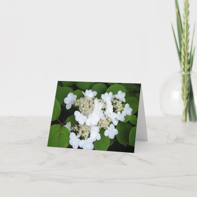 Cartão "Flowers Like Butterflies" (Frente)