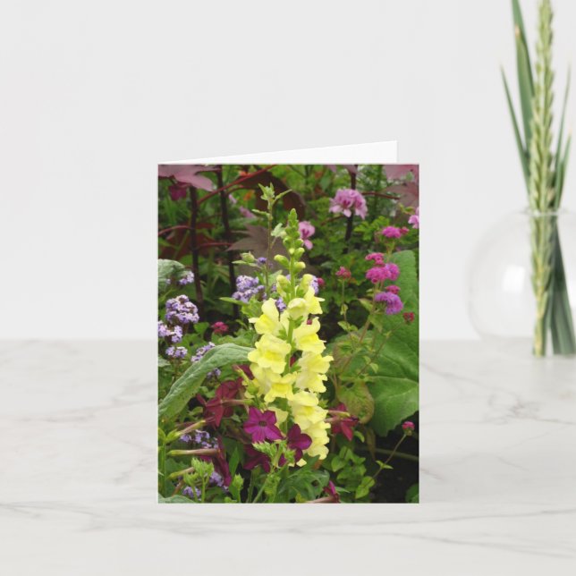 Cartão Flowers of France (Frente)