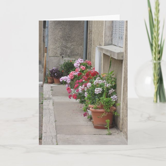 Cartão Flowers of France (Frente)