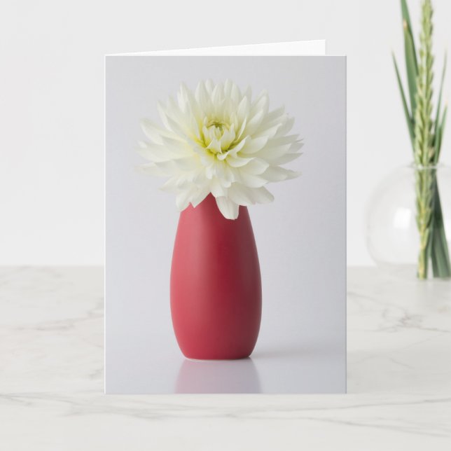 Cartão Flowers | White Dahlia in Red Vase (Frente)