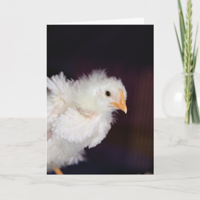 Cartão Fluff (Frente)