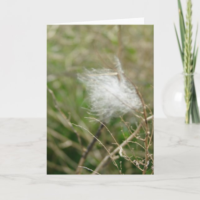 Cartão Fluff (Frente)