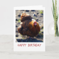 Fluffy chicken Birthday