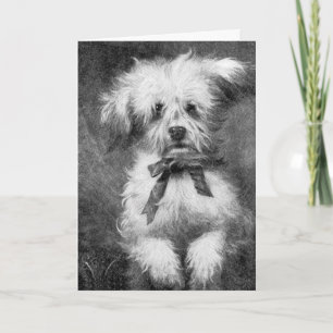 Cartão Fluffy Dog Blank Greeting Card