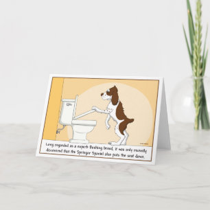Cartão Flushing Springer Spaniel card