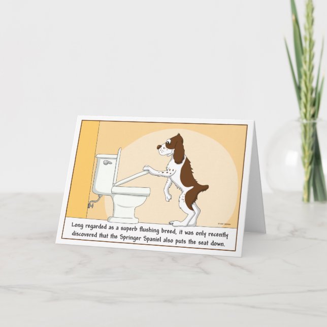 Cartão Flushing Springer Spaniel card (Frente)