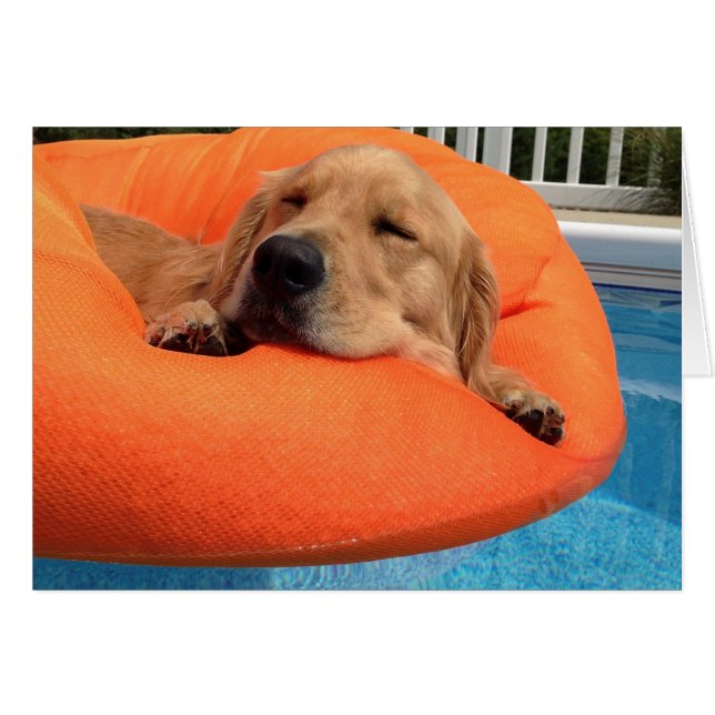 Cartão Flutuação de Verão (Frente Horizontal)