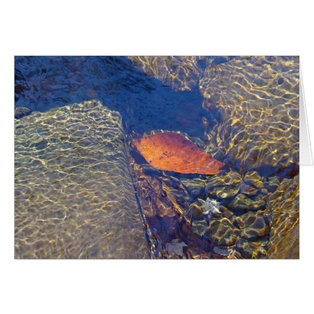 Cartão Flutuação perto (Frente horizontal)