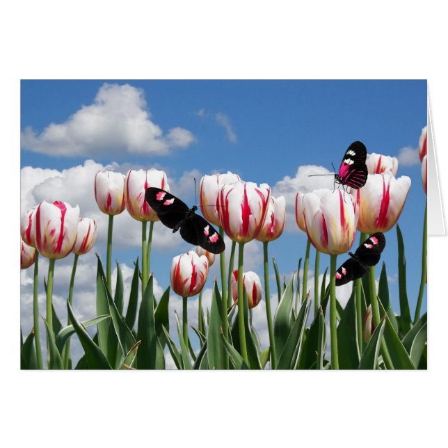 Cartão Flutuar Por (Frente horizontal)