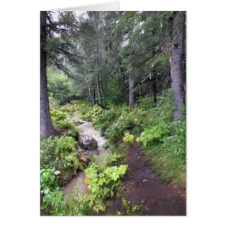 Cartão Fluxo do Alasca