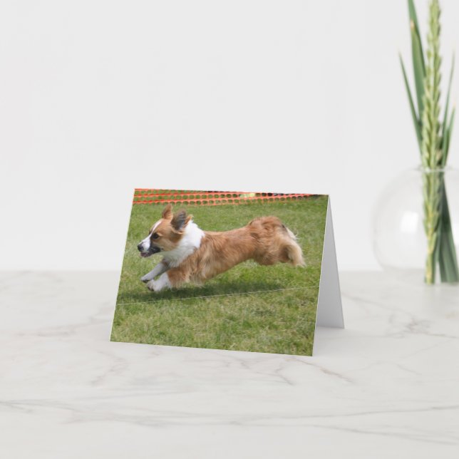 Cartão Flying Cardigan Welsh Corgi (Frente)