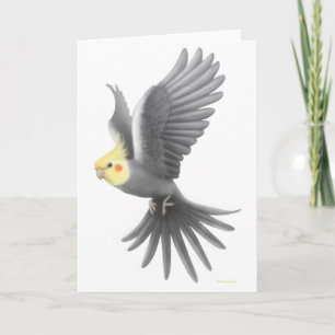 Cartão Flying Cockatiel Card