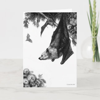 Cartão Flying Foxes Cards