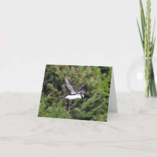Cartão Flying Loon Notecard