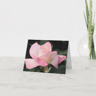 Cartão Flying pink rose