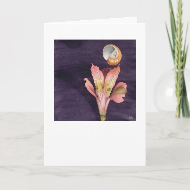 Cartão Flying Starry   (Frente)