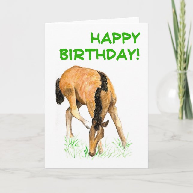 Cartão 'Foal' Birthday Card (Frente)