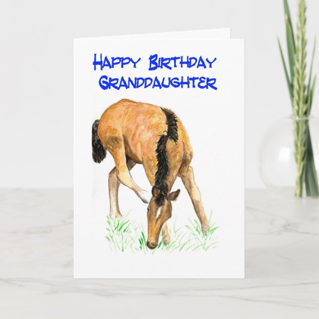 Cartão 'Foal' Birthday Card for Granddaughter (Frente)