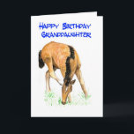 Cartão 'Foal' Birthday Card for Granddaughter<br><div class="desc">A Birthday Card for a granddaughter with a foal design on the front,  from a watercolor painting by Judy Adamson. 'Happy Birthday' inside. See also matching gifts and apparel.</div>