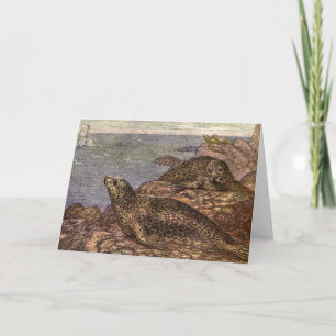 Cartão Focas, Vida Marinha Antiga Animais Oceânicos