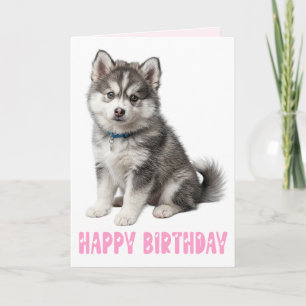 Cartão Fofinho Cachorrinho Pomsky Amante Rosa Aniversário