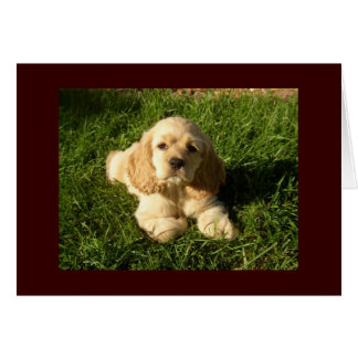 CARTÃO FOFINHO COCKER ENVIA BEM DESEJOS