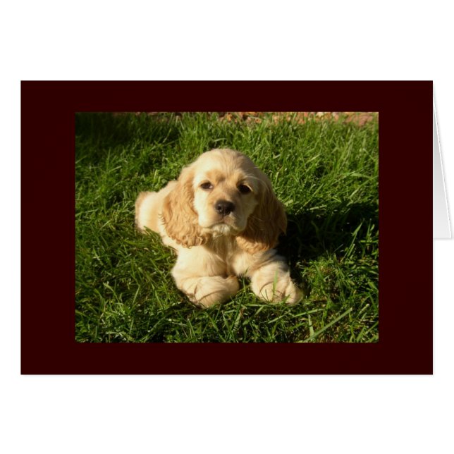 CARTÃO FOFINHO COCKER ENVIA BEM DESEJOS (Frente Horizontal)