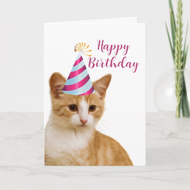 Cartão Fofo De Sua Feliz Aniversário De Pet Cat Saudação (Frente)