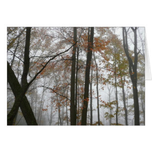 Cartão Foggy Fall na Pensilvânia Autumn Nature