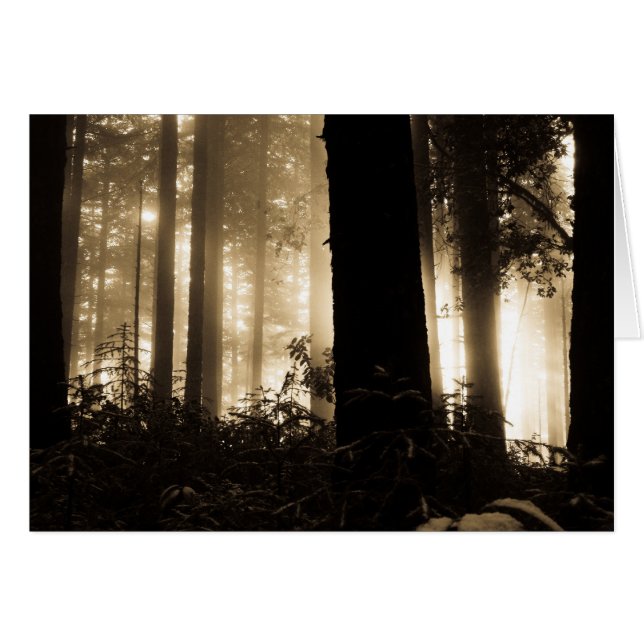 Cartão Foggy Sunrise (Frente horizontal)