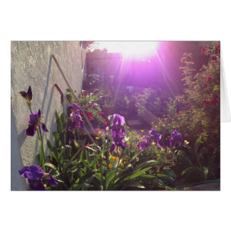 Cartão Fogo violeta pela harmonia