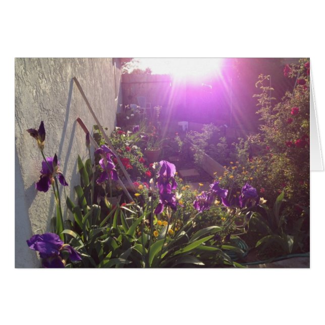 Cartão Fogo violeta pela harmonia (Frente Horizontal)