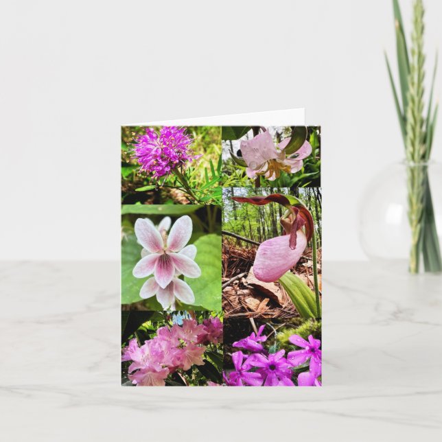 Cartão Folded greeting card with wildflowers (Frente)