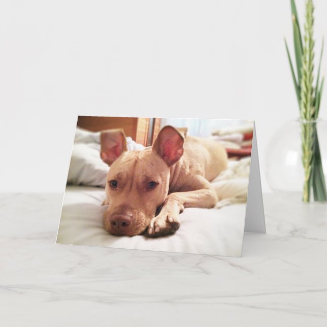 Cartão Folded Leon Greeting Card (Frente)